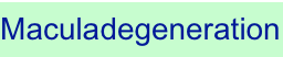 shapeimage_7_link_7